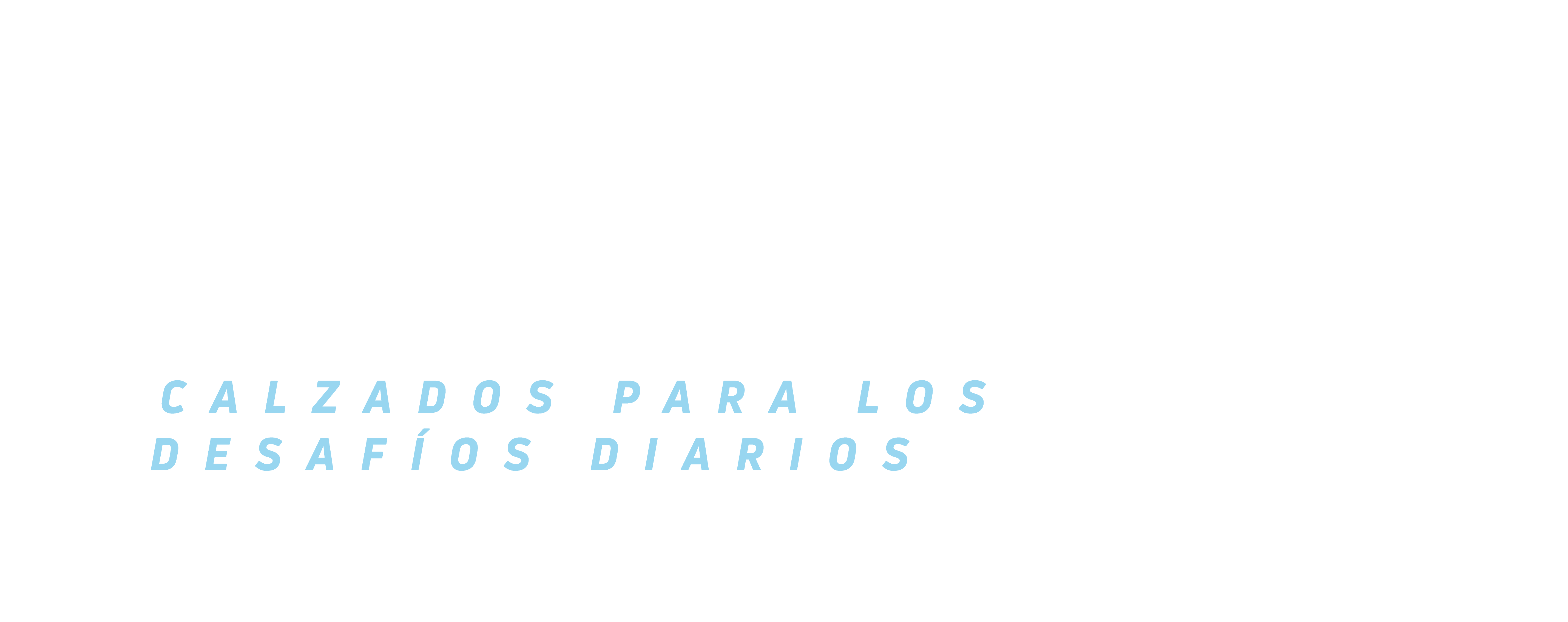 h1-desc
